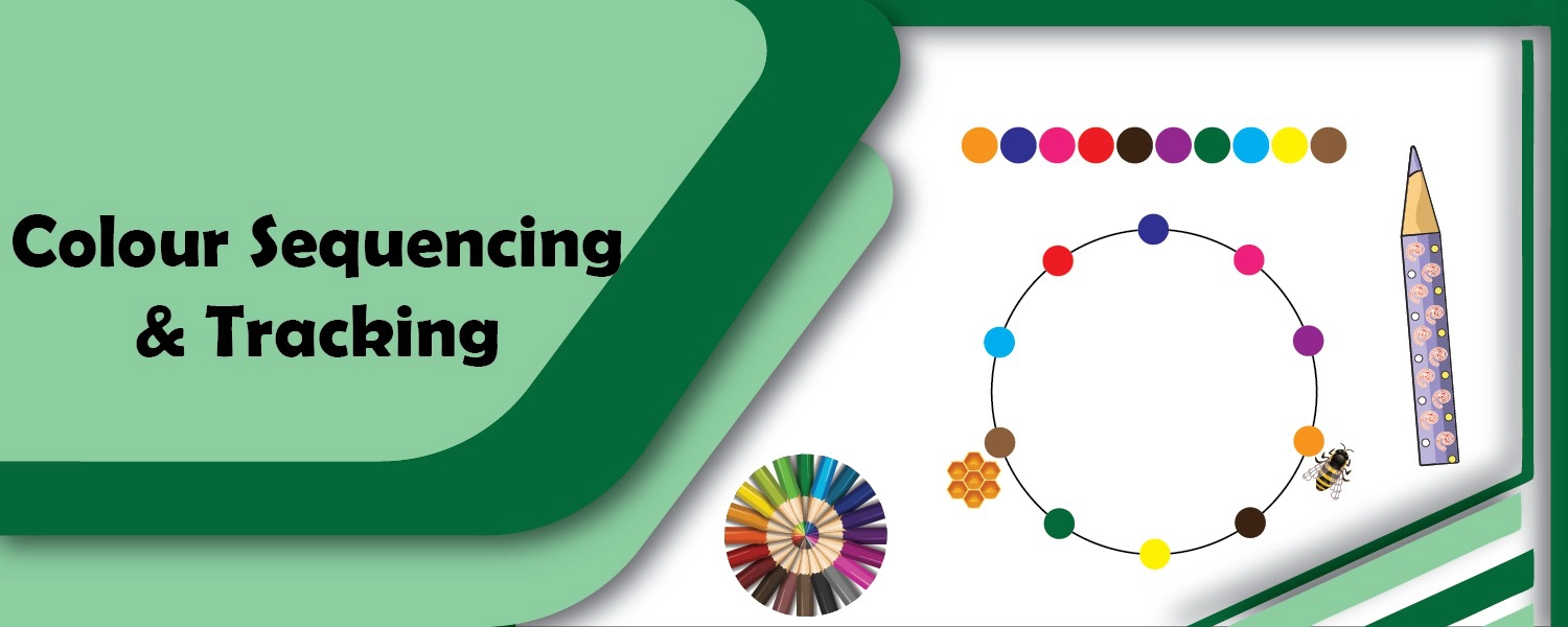 Colour Sequencing & Tracking