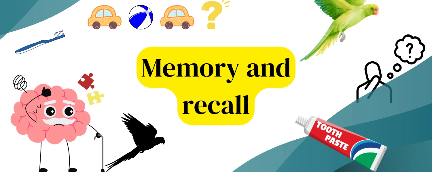 Memory and recall