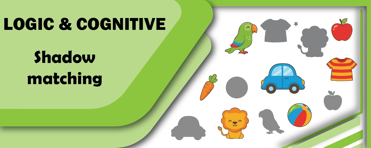 Shadow Matching
