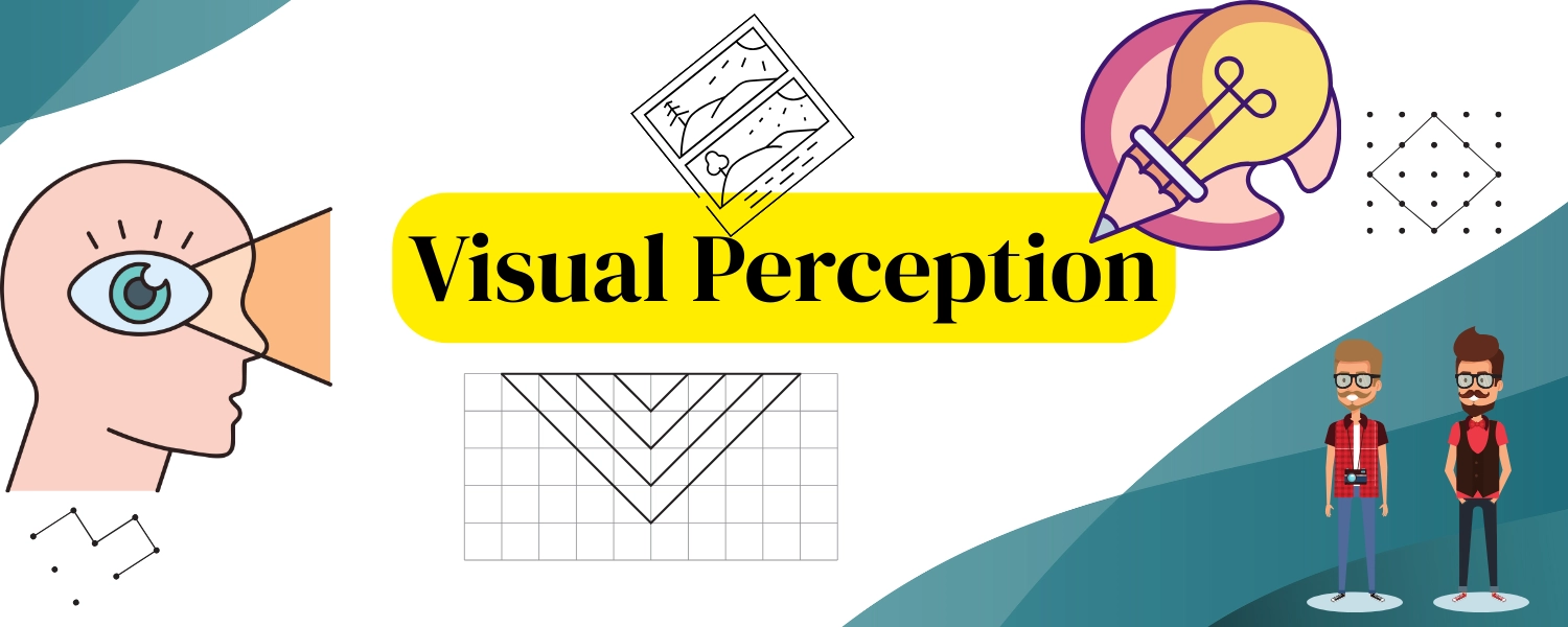 Visual Perception