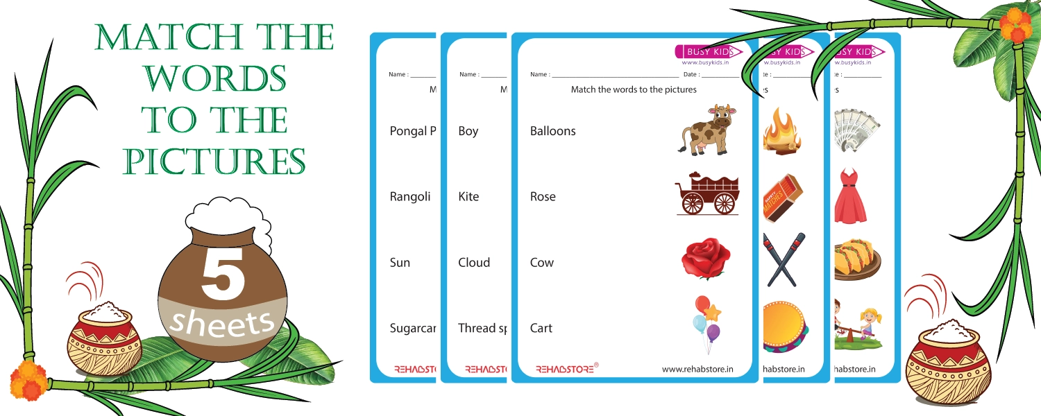 Match the Words to the Pictures