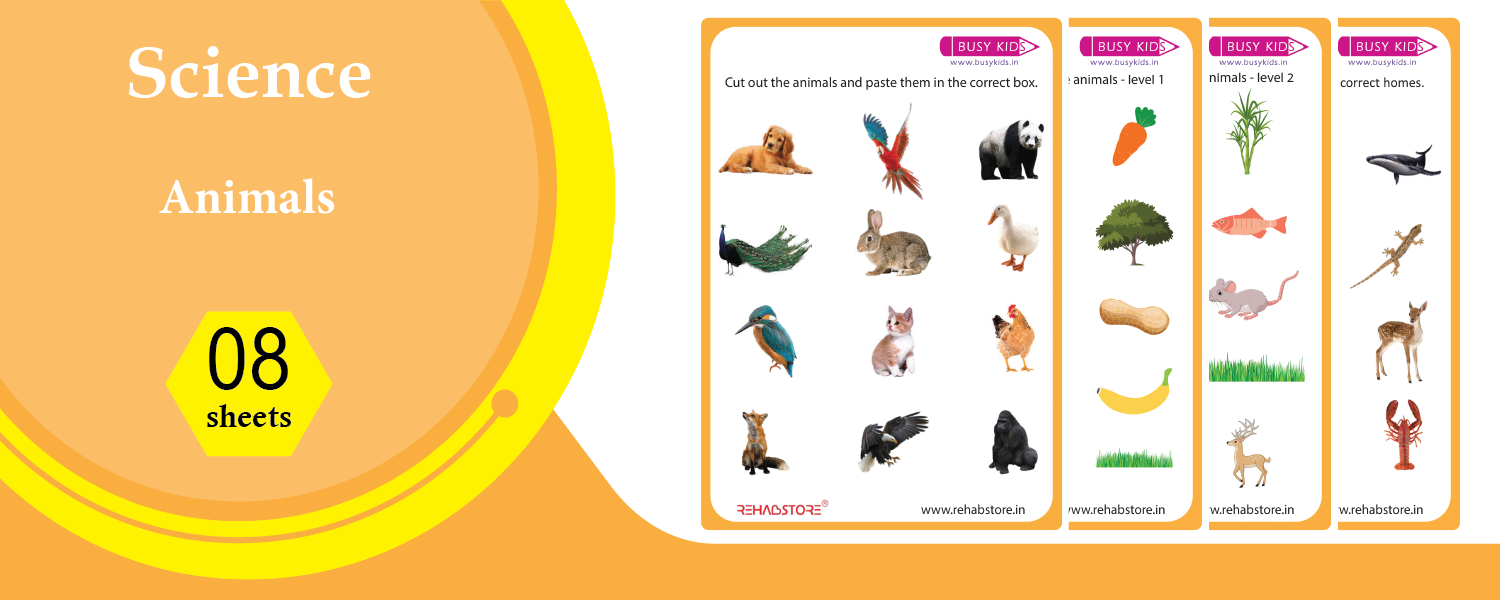 Animals – Early Science Worksheets