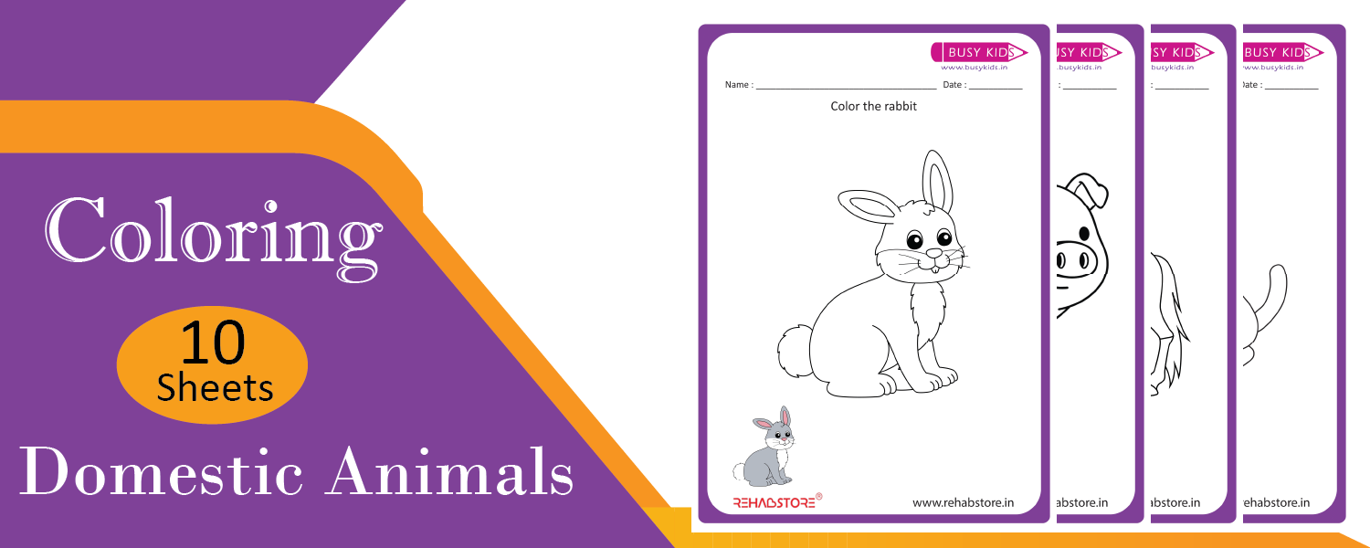 Domestic Animals Worksheet