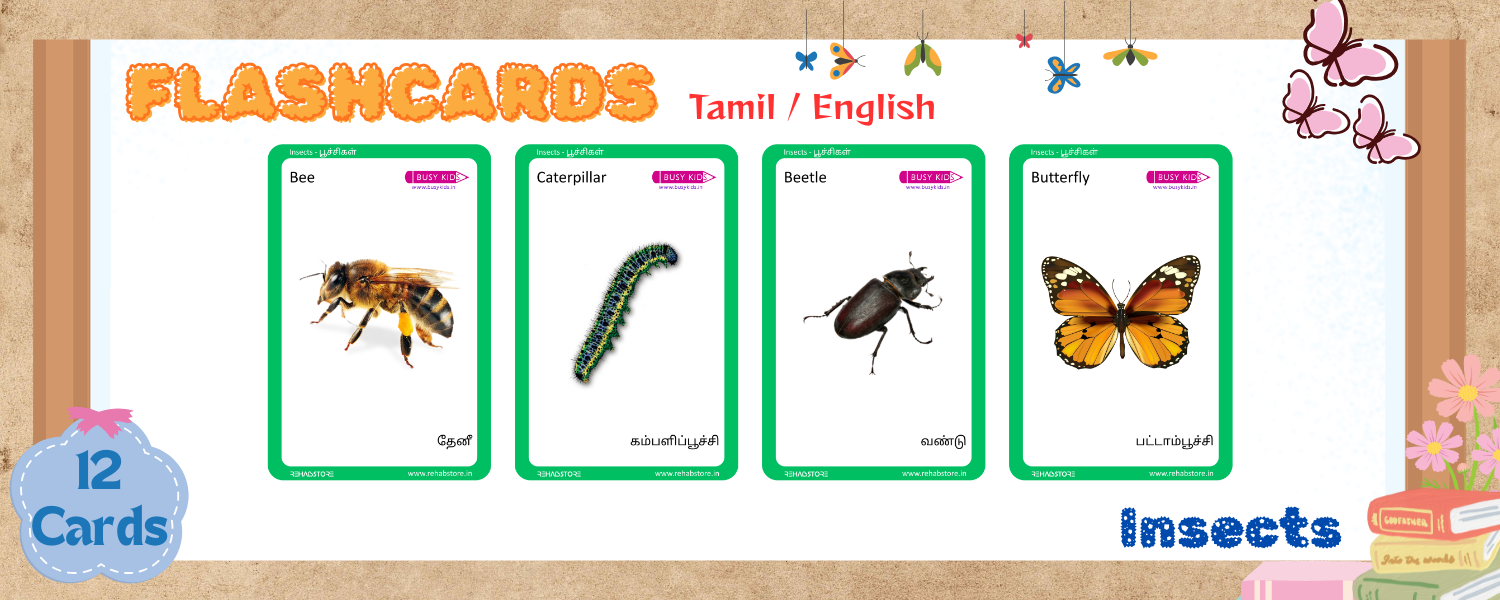 Insects
