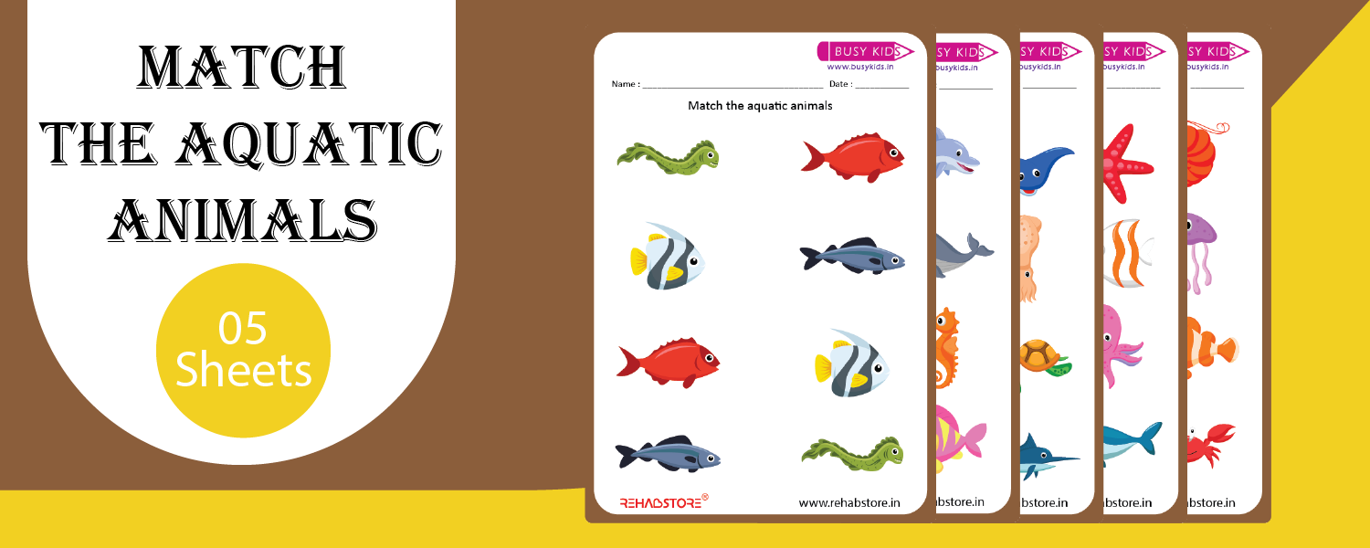 Match the Aquatic Animals
