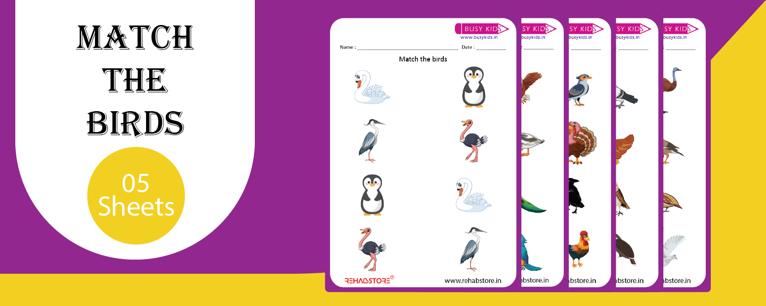 Match the Birds