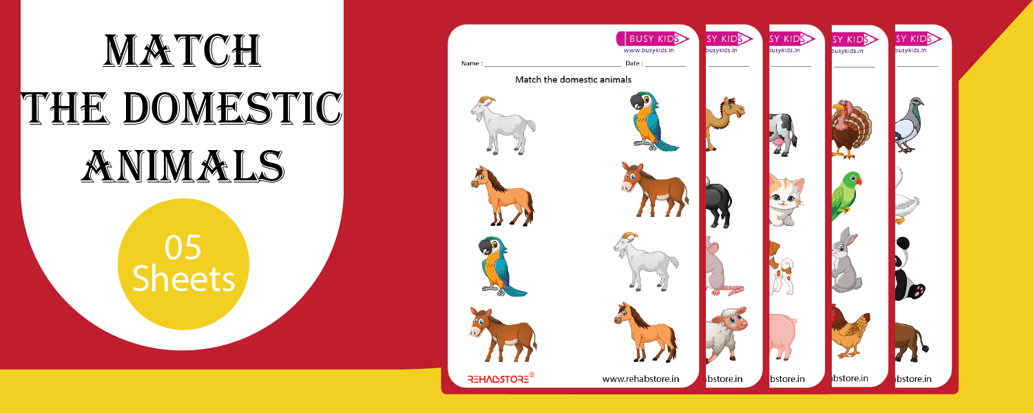 Match the Domestic Animals