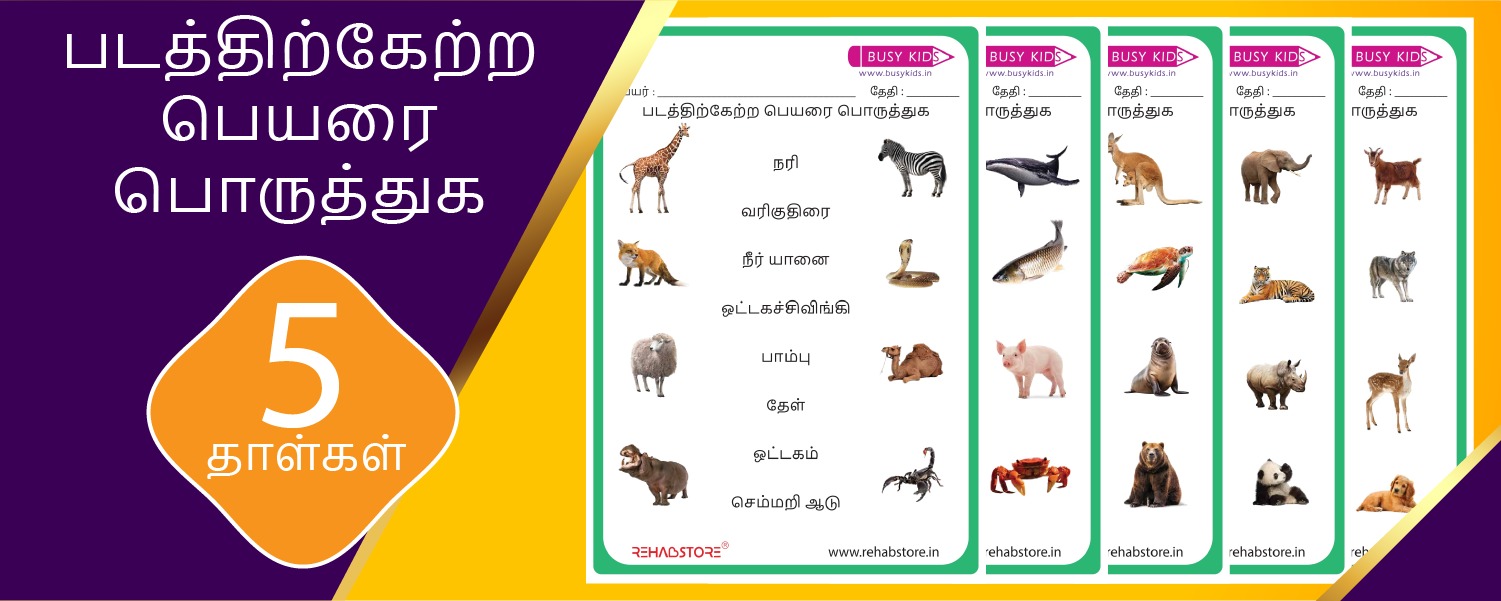 Match the picture with the correct word