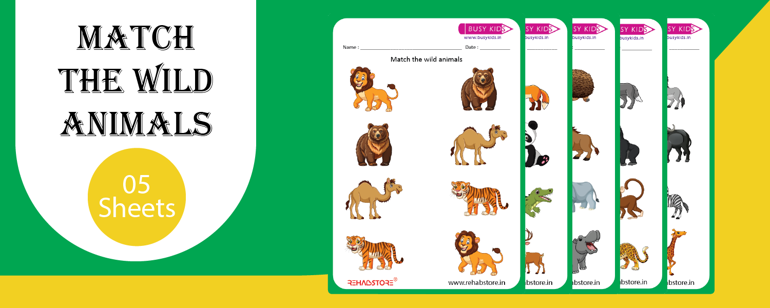 Match the Wild Animals